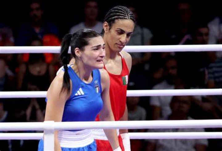 A Journey Of Boxing Triumphs And Financial Savvy