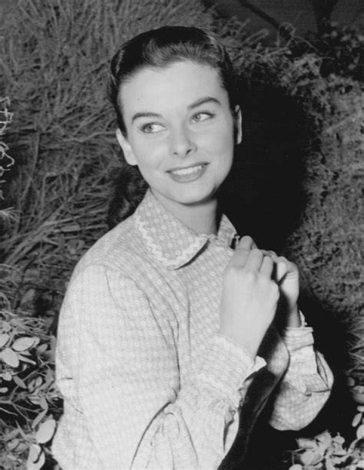 Audrey Dalton Audrey dalton, Old hollywood glamour, Hollywood
