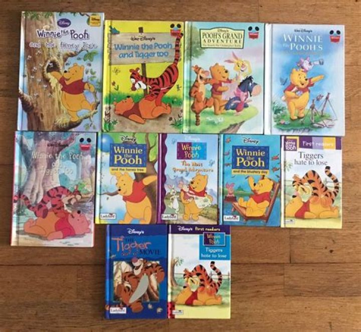 Behindthescenes story of sensation WinniethePooh Blood and Honey