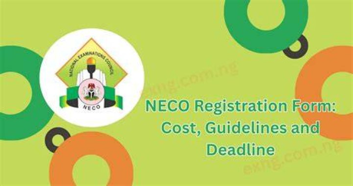 Cost Of NECO Registration In Private Schools Education Nigeria