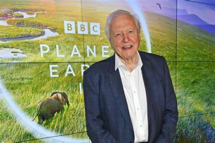 Discover The Extraordinary Wealth And Impact Of David Attenborough