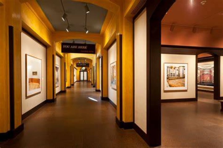 Discover The Unconventional Art Of Tracy Myers Denver