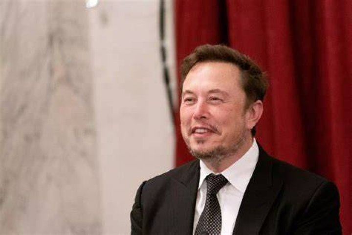 Elon Musk’s glamorous new Australian girlfriend Natasha Bassett The