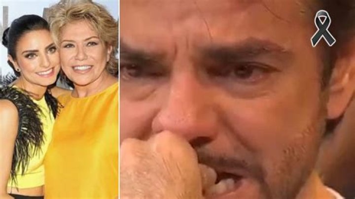 Eugenio Derbez Gabriela Michel Gabriela Michel habla sobre su