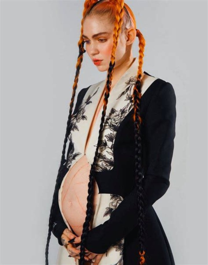 Is Grimes Pregnant With Her and Elon Musk's First Child Together? E