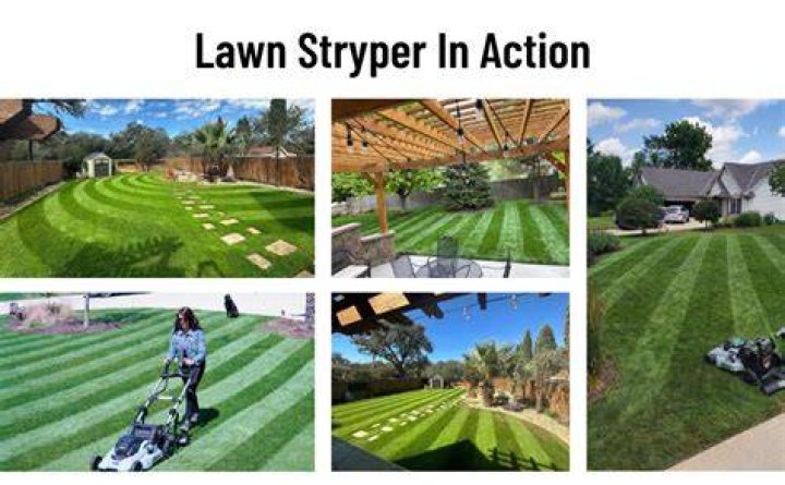 Lawn Stryper Outlet Discount, Save 46 jlcatj.gob.mx