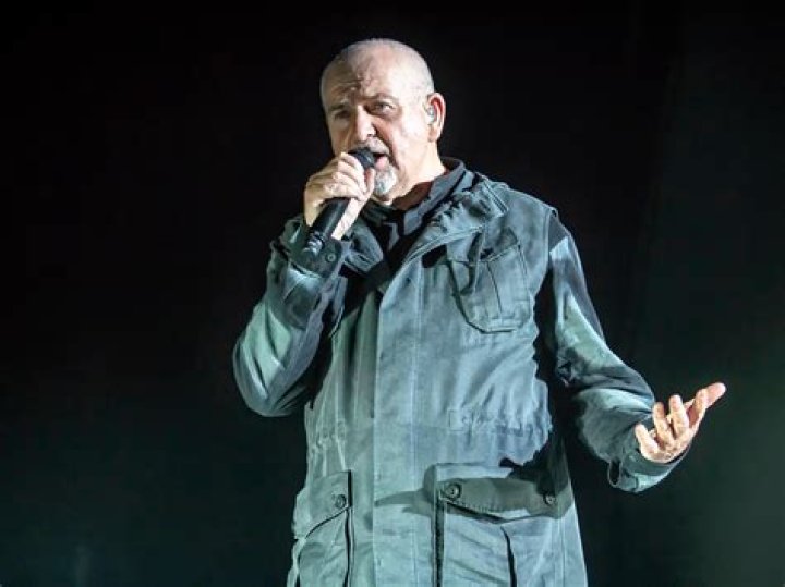 Peter Gabriel's Most Memorable Studio Collaborations I Like Your Old