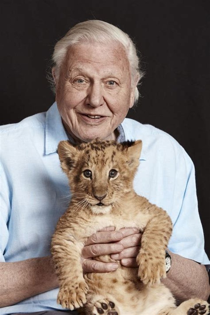Unveiling The Net Worth Of David Attenborough: Surprising Revelations