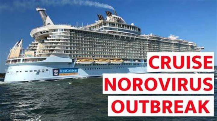 Unveiling The Truth: Cruise Ship Disaster 2024