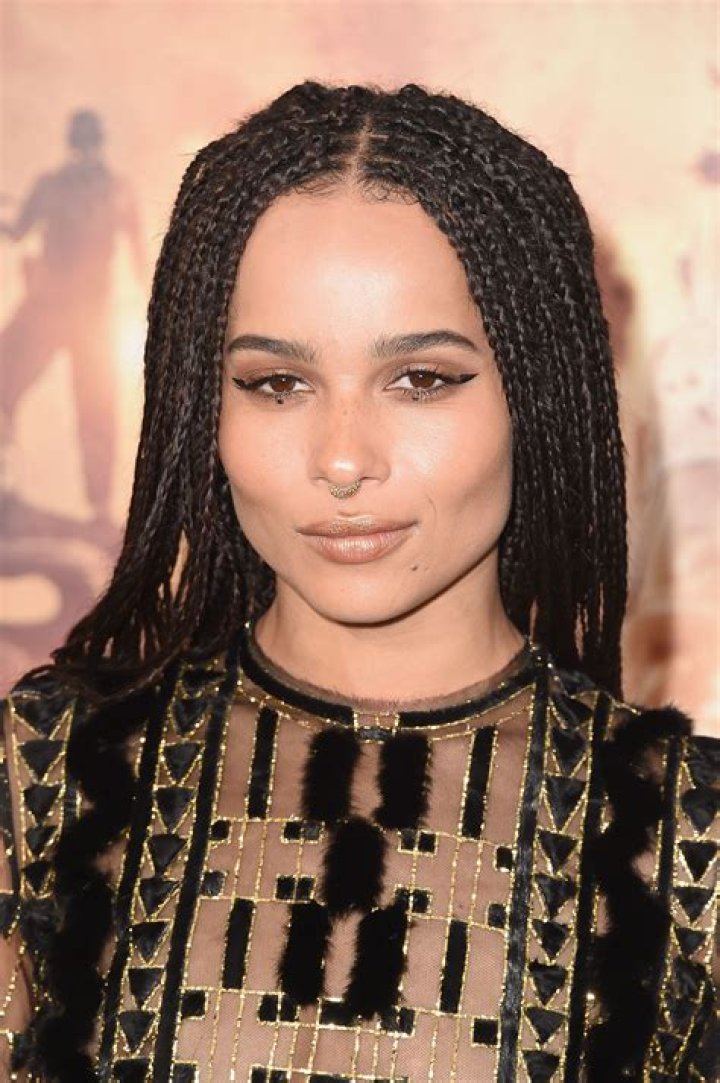 Zoe Kravitz Beauty Looks and Inspiration Zoe Kravitz Beauty Evolution